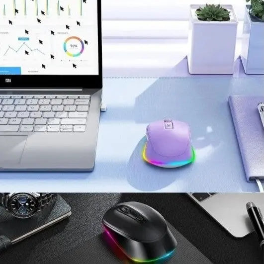 Souris ergonomique sans fil noir