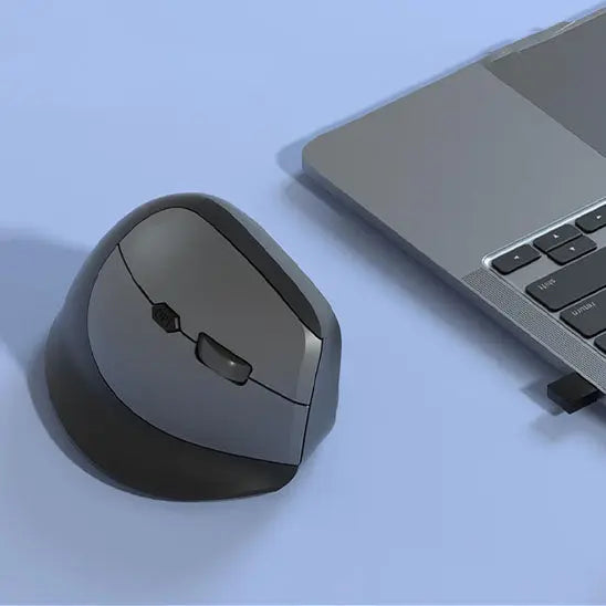 Souris verticale ergonomique Wireless grises