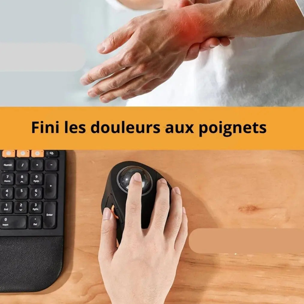 ergonomique souris à boule poignets