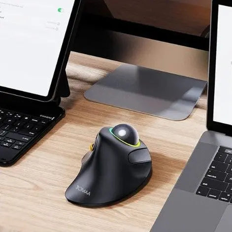 ergonomique souris boule pc