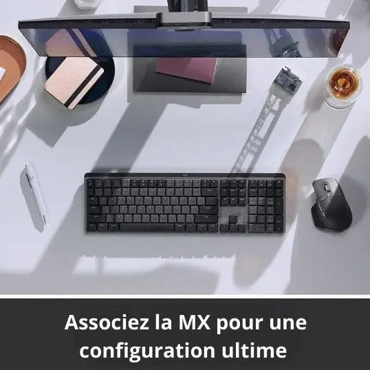 souris ergonomique mx bureau