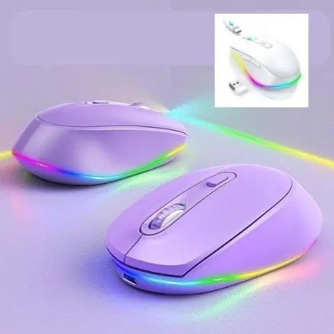 Souris ergonomique sans fil blanche