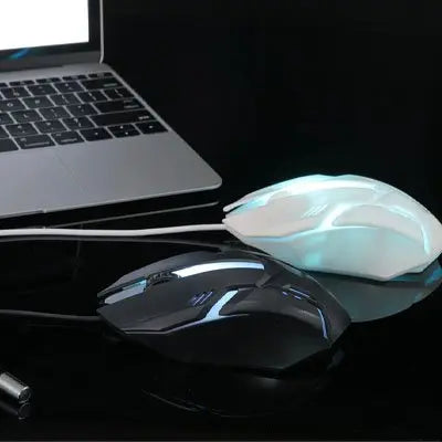 souris filaire ergonomique noir blanc